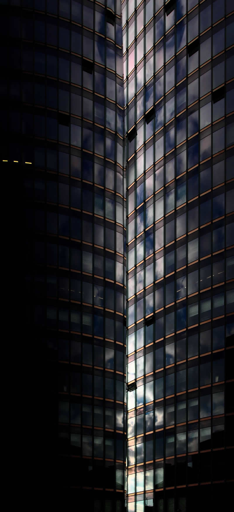 Gurushots Mostly Black Winners Photo Challenge