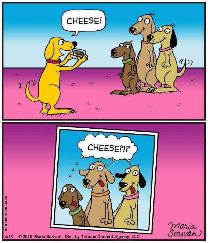 Hilarious Funny Dog Comics by Maria Scrivan