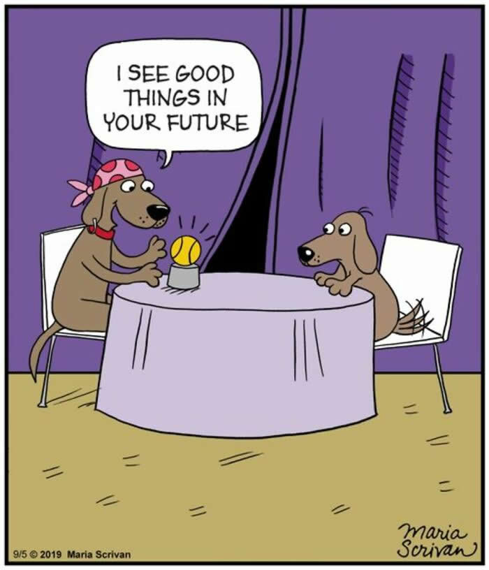 Hilarious Funny Dog Comics by Maria Scrivan