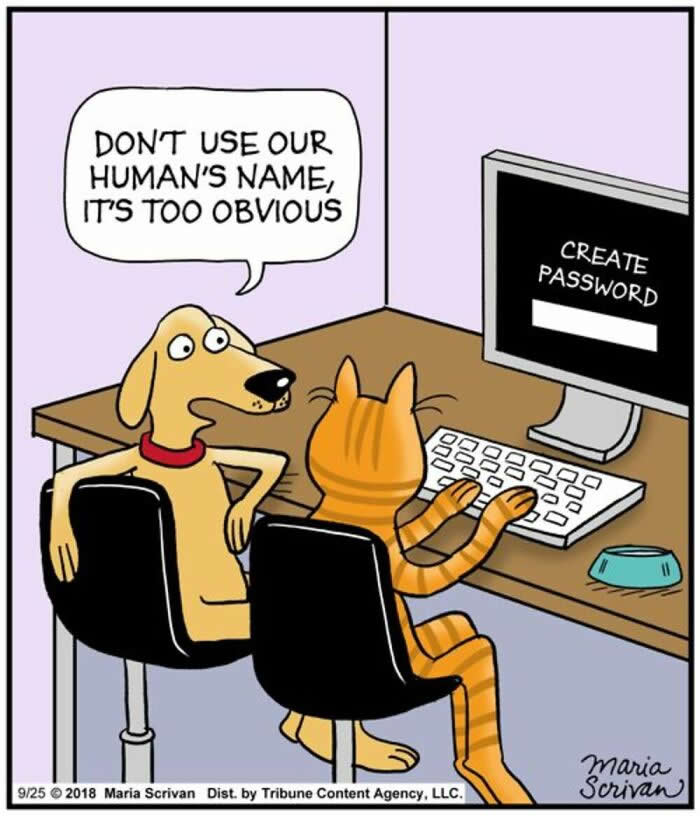 Hilarious Funny Dog Comics by Maria Scrivan