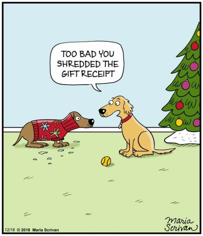 Hilarious Funny Dog Comics by Maria Scrivan