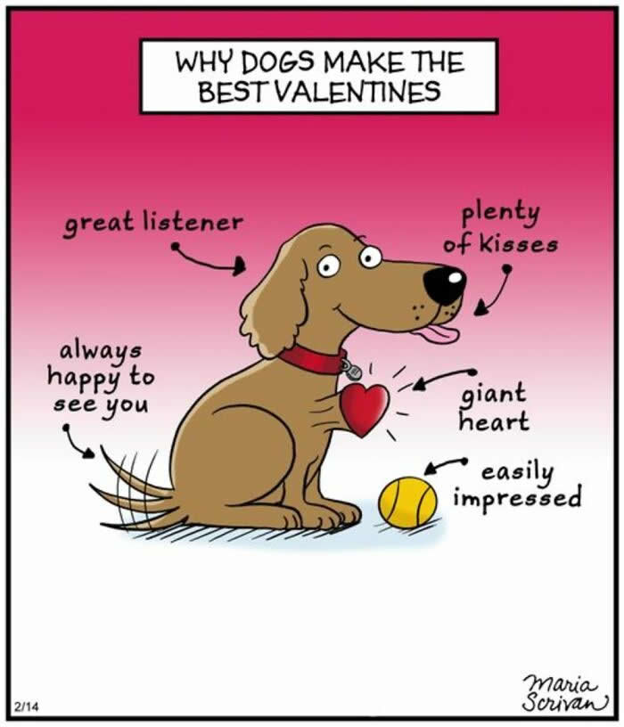 Hilarious Funny Dog Comics by Maria Scrivan