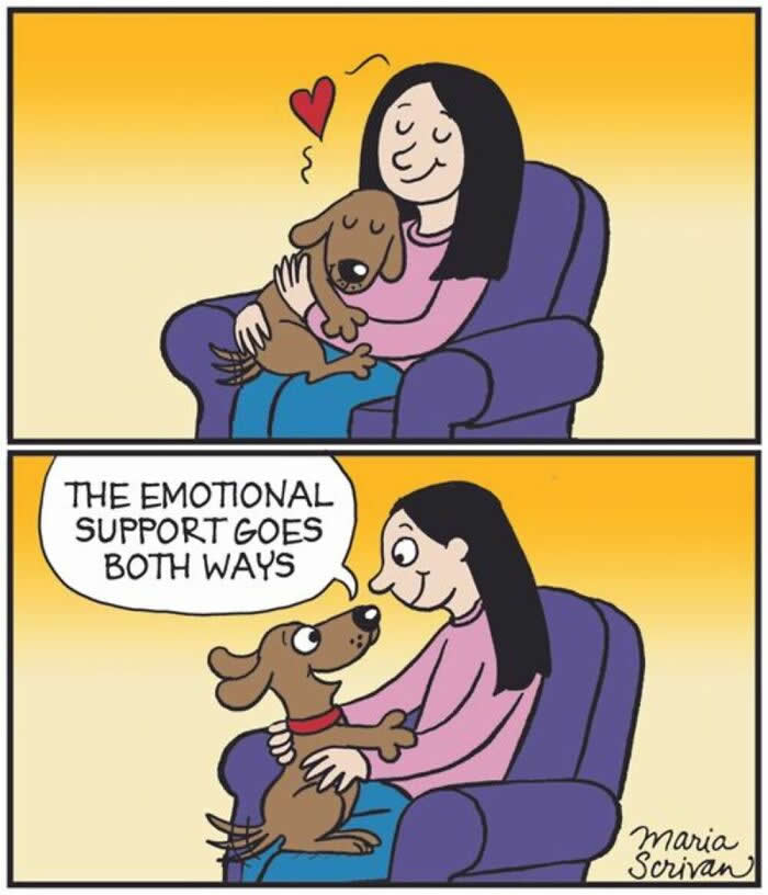 Hilarious Funny Dog Comics by Maria Scrivan