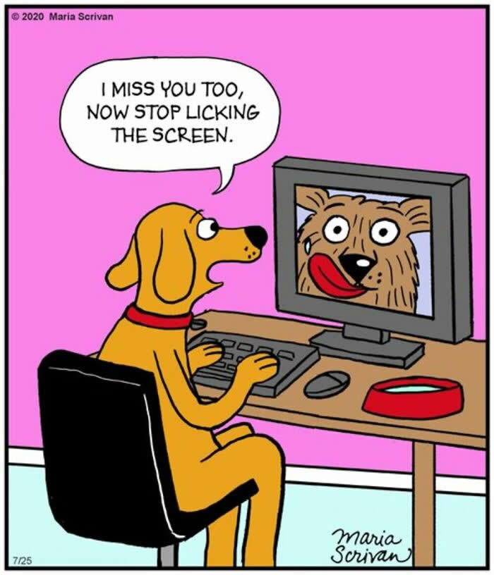Hilarious Funny Dog Comics by Maria Scrivan