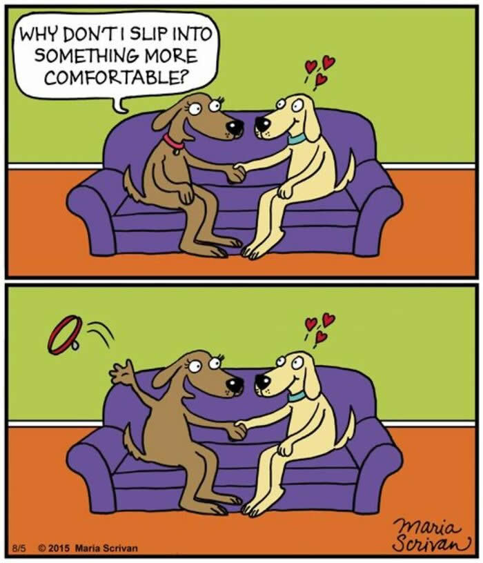 Hilarious Funny Dog Comics by Maria Scrivan