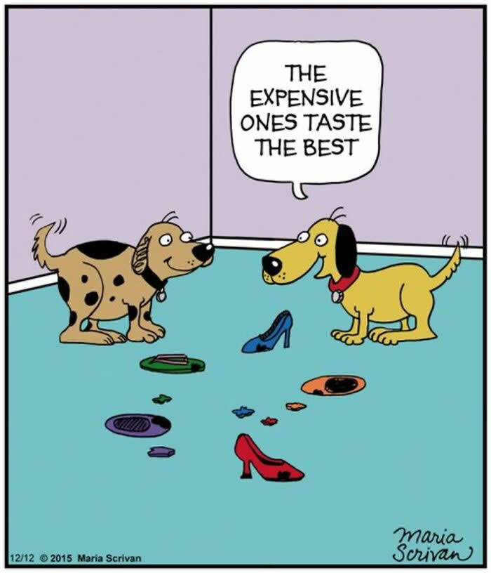 Hilarious Funny Dog Comics by Maria Scrivan