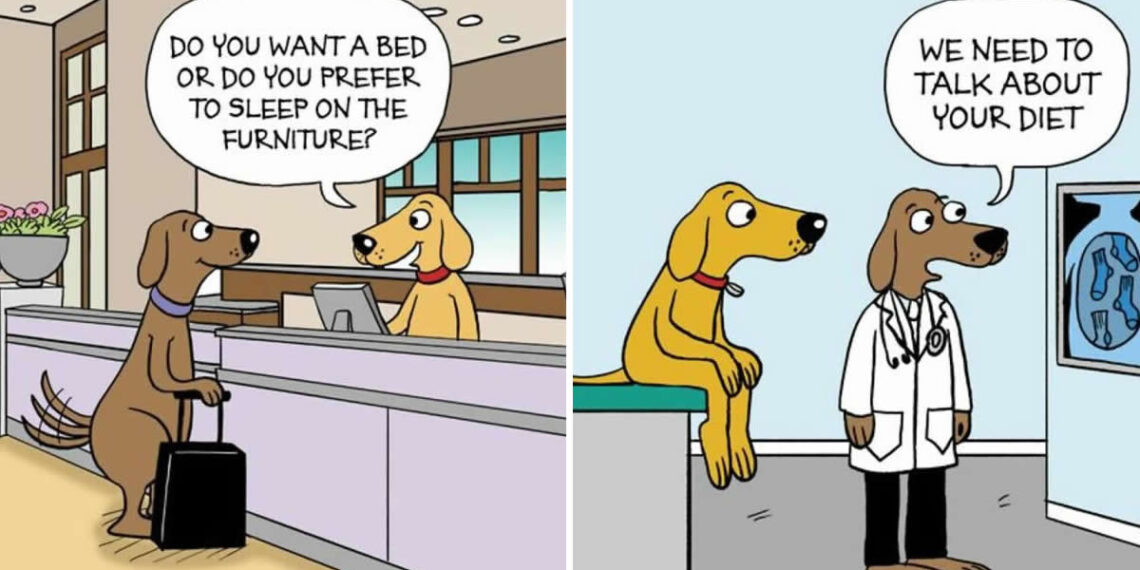 Hilarious Comics by Maria Scrivan That Nail Everyday Pet Chaos
