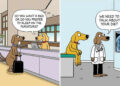 Hilarious Comics by Maria Scrivan That Nail Everyday Pet Chaos