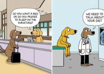 Hilarious Comics by Maria Scrivan That Nail Everyday Pet Chaos