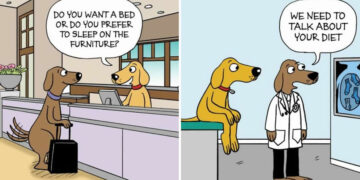 Hilarious Comics by Maria Scrivan That Nail Everyday Pet Chaos