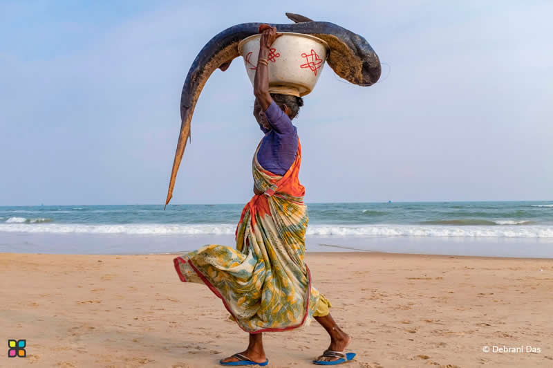 Graceful Toil by Debrani Das, India - Award-Winning Photos of Hipa
