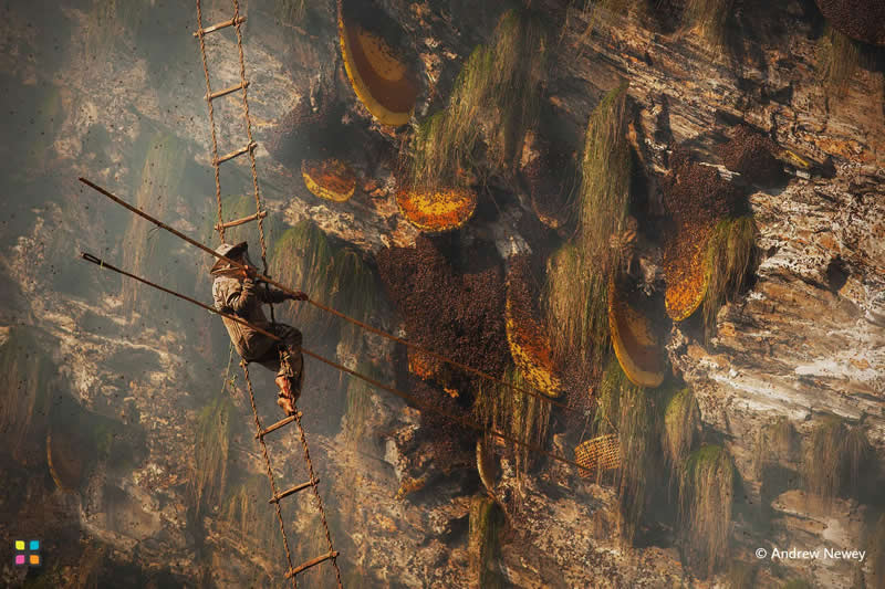 Honey Hunters by Andrew Newey, United Kingdom - Award-Winning Photos of Hipa