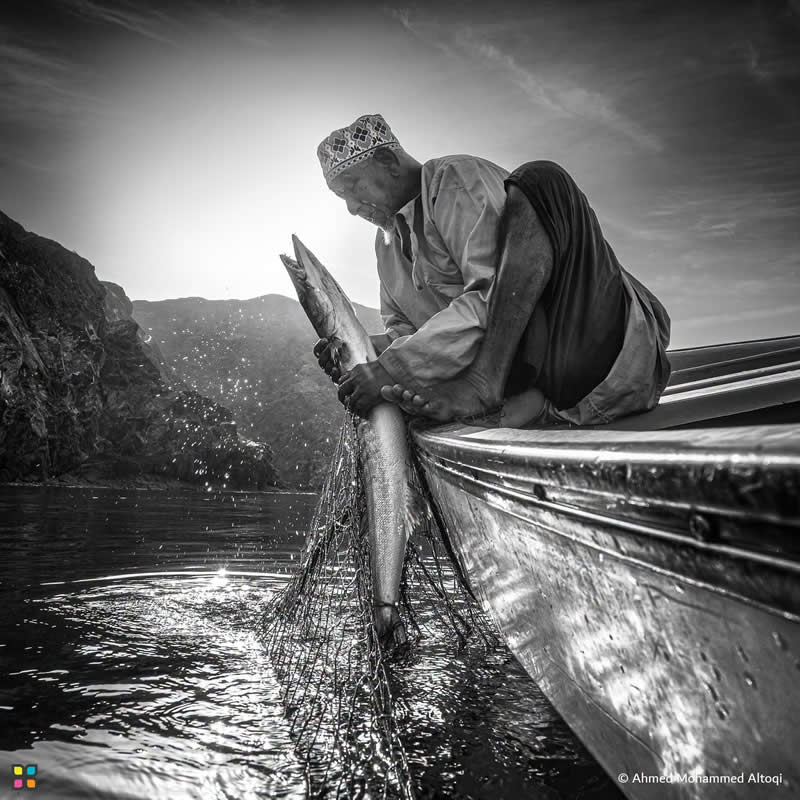 Unshaken by Ahmed Mohammed Altoqi, Sultanate of Oman - Award-Winning Photos of Hipa