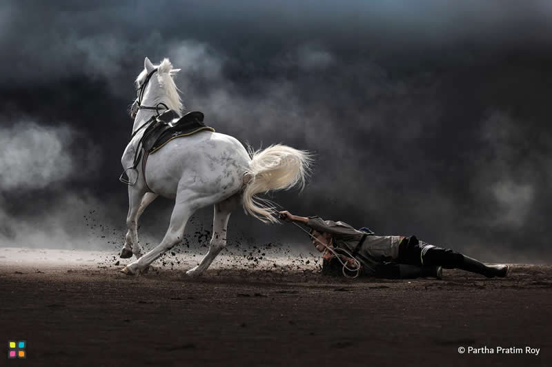 A Tight Grip by Partha Pratim Roy, India - Award-Winning Photos of Hipa