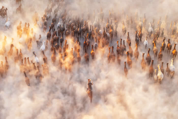 Thunder Of Hooves By Kah-Wai Lin - International Aerial Photographer of the Year 2026 Awards