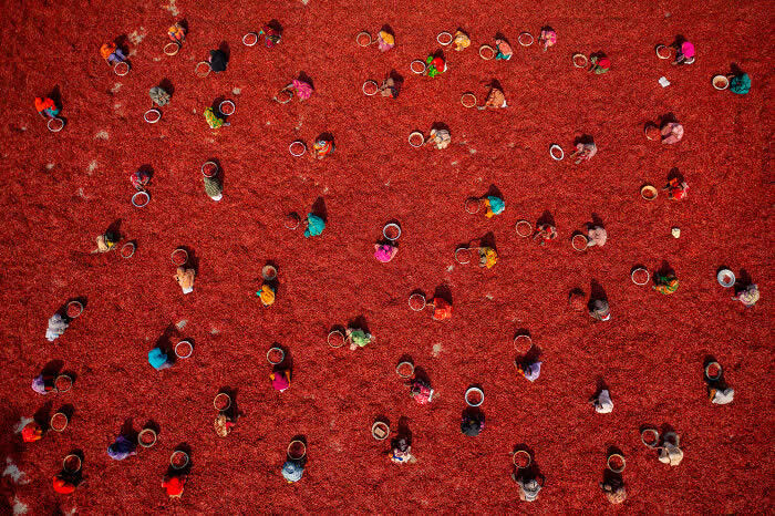 Harvesting Red Chilies By Azim Khan Ronnie - International Aerial Photographer of the Year 2026 Awards