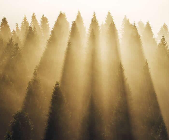 Basking In Divine Light By Alexandra Moldovan - International Aerial Photographer of the Year 2026 Awards