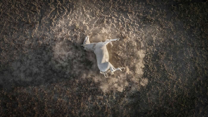 Tumbling White Horse By Fabio Pappalettera - International Aerial Photographer of the Year 2026 Awards