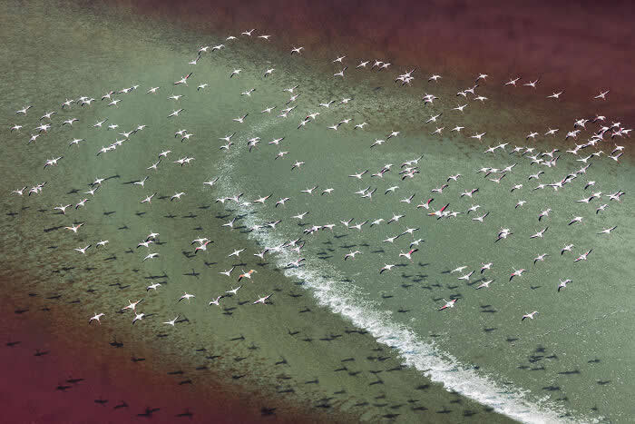 Magadi Dream By C&eacute;dric Tamani - International Aerial Photographer of the Year 2026 Awards