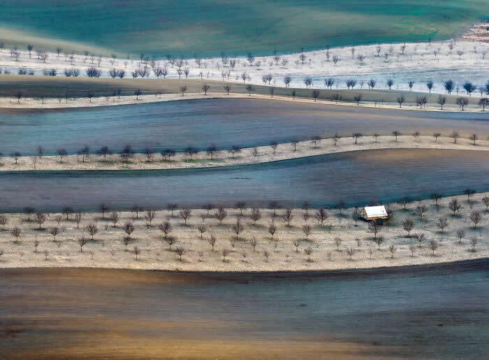 Vineyard By Laszlo Siman - International Aerial Photographer of the Year 2026 Awards
