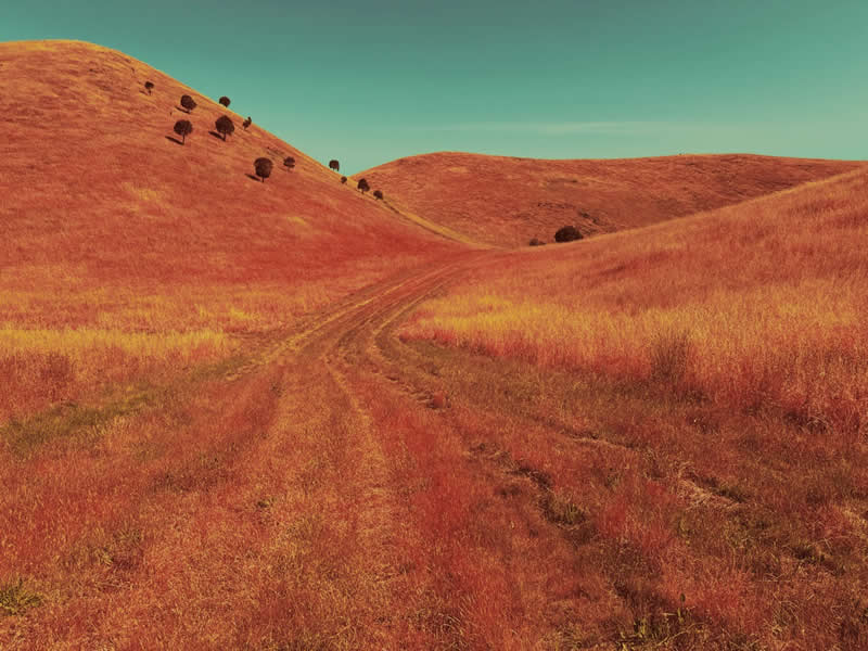 Landscape: 1st Place Winner by Anthony Ginns, Australia - iPhone Photography Awards 2026 Winners