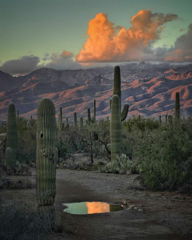 Landscape: 3rd Place Winner by Joseph Cyr, United States - iPhone Photography Awards 2026 Winners
