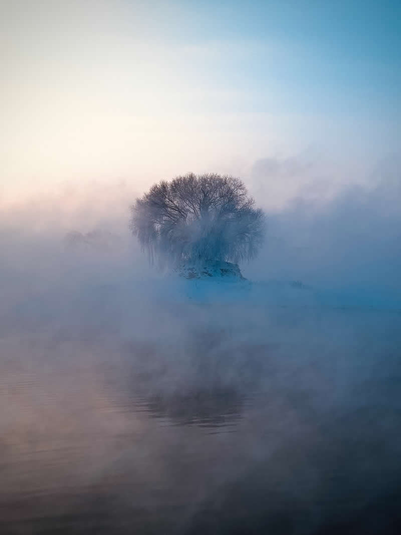 Nature: 1st Place Winner by Tianjiao Zhang, China - iPhone Photography Awards 2026 Winners