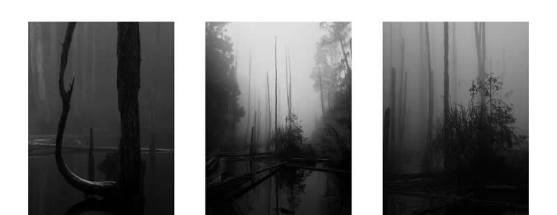 Series: 1st Place Winner by Lasda Takbanuaz, Taiwan - iPhone Photography Awards 2026 Winners