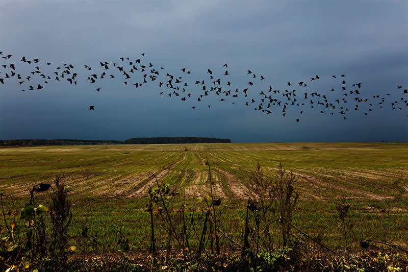 Lands of No Return: Viktoria Sorochinski’s Powerful Photo Series on Ukraine’s Vanishing Villages 40 Lands of No Return Ukraine Vanishing Villages by Viktoria Sorochinski