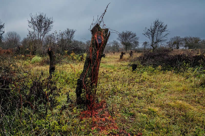 Lands of No Return: Viktoria Sorochinski’s Powerful Photo Series on Ukraine’s Vanishing Villages 52 Lands of No Return Ukraine Vanishing Villages by Viktoria Sorochinski
