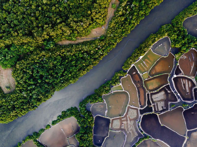 Mangrove Photography Awards 2026: 29 Outstanding Photos That Tell Powerful Stories 41 Landscape, From the Air - Winner: MangueBeat by Lucas Gonçalves Garcias, Brazil - Mangrove Photography Awards 2026