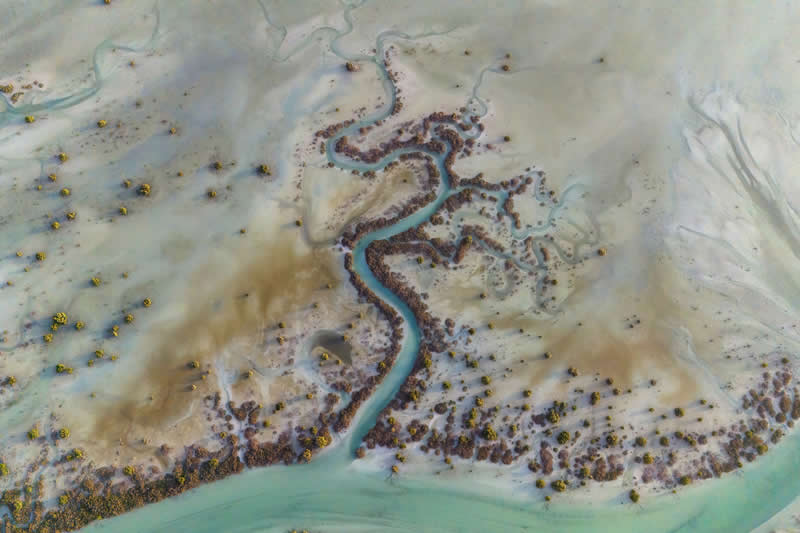 Mangrove Photography Awards 2026: 29 Outstanding Photos That Tell Powerful Stories 42 Landscape, From the Air - Runner Up: Journey to the Pulse of Mangroves by Mohammed Aljulandi, United Arab Emirates - Mangrove Photography Awards 2026