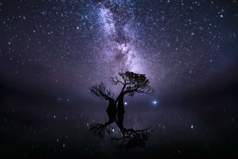 Mangrove Photography Awards 2026: 29 Outstanding Photos That Tell Powerful Stories 43 Landscape, On the Ground - Winner: Beneath Ancient Light by Ryuhei Suguri, Indonesia - Mangrove Photography Awards 2026