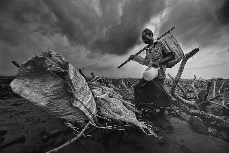 Mangrove Photography Awards 2026: 29 Outstanding Photos That Tell Powerful Stories 52 People, Conservation & Restoration - Runner Up: Plastic Gatherer by Somenath Mukhopadhyay, India - Mangrove Photography Awards 2026