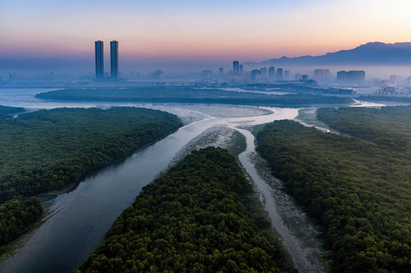 Mangrove Photography Awards 2026: 29 Outstanding Photos That Tell Powerful Stories 57 Emirates Award - Winner: Where Life Converges by Shyjith Onden Cheriyath, United Arab Emirates - Mangrove Photography Awards 2026