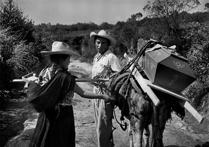 Master Photographer Werner Bischof