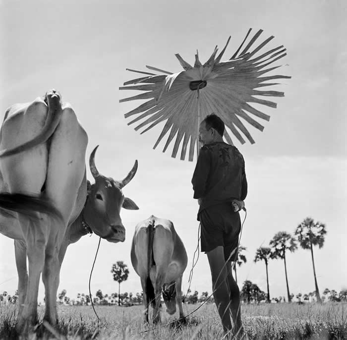 Master Photographer Werner Bischof
