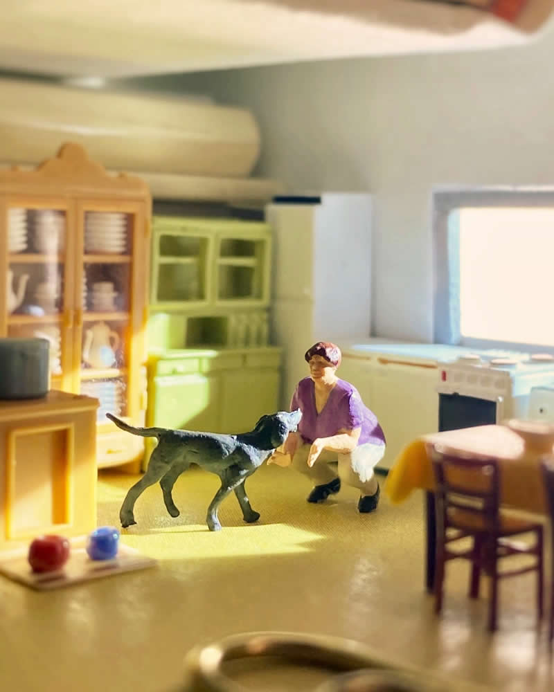 Tiny Adventures: 35 Miniature Scenes by Derrick Lin That Turn Everyday Objects Into Magical Stories 73 My life has recently become much quieter and it makes me envy those who have loyal companions - Miniature Photography by Derrick Lin