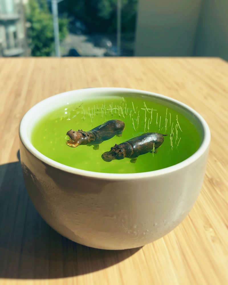 Tiny Adventures: 35 Miniature Scenes by Derrick Lin That Turn Everyday Objects Into Magical Stories 74 Three times I had critters and sun on my table during summer. A lazily growing series - Miniature Photography by Derrick Lin