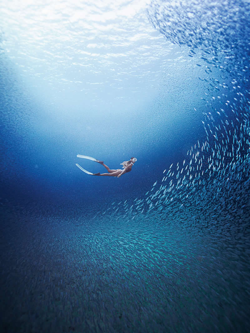 11 Incredible Marine Wildlife Photos That Won the 2026 Ocean Conservancy Contest 20 Photo by Akira Asahina - 2026 Ocean Conservancy Photo Contest Winners