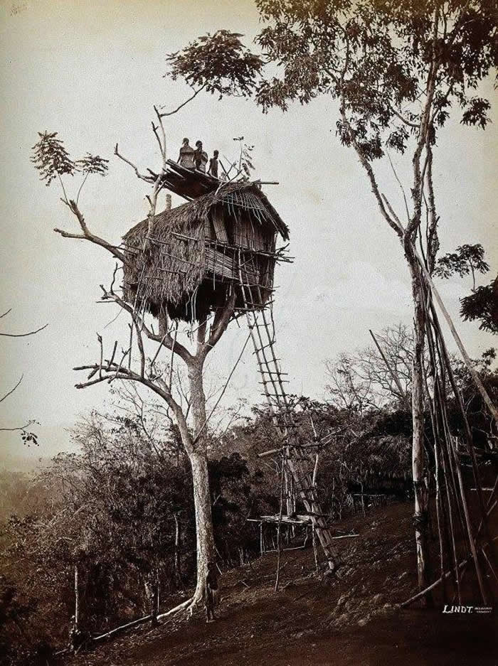 A tree house of the Koiari people, east of Port Moresby, Papua New Guinea, 1886