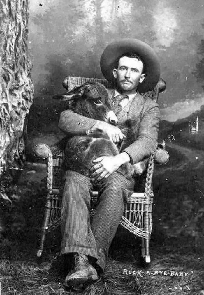 A man holding a donkey in his lap. At the bottom of the photo it reads "Rock-a-bye Baby". Unknown date, possibly 1910s.