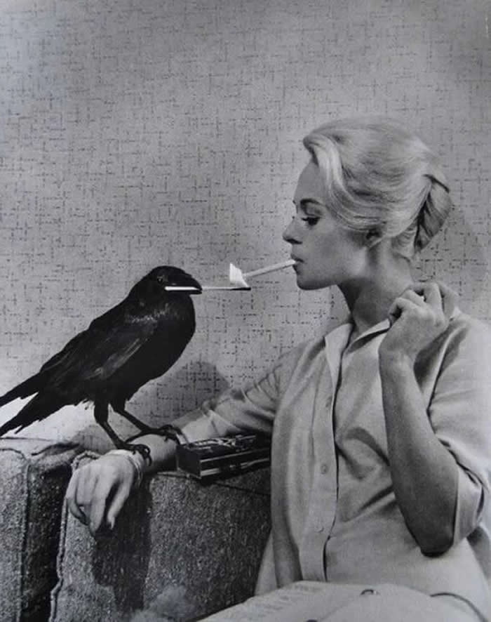 Tippi Hedren having her cigarette lit by a crow on the set of The Birds, 1963