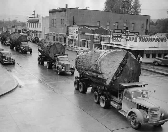 Log Trucks in North Bend, Washington. 1943, US