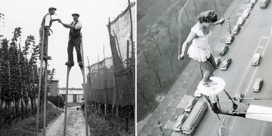 Rare Historical Photos That Reveal the Human Side of History
