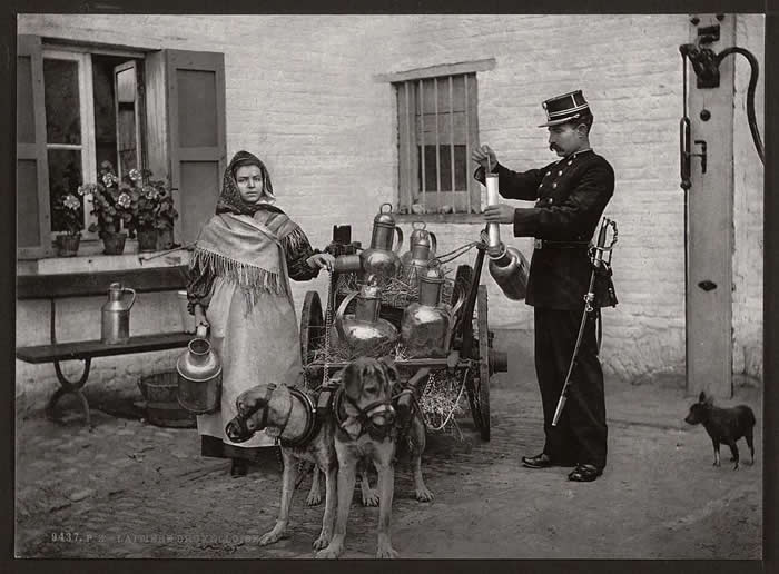 Belgium milk woman in traditional clothes using dogs to pull the cars. ( Brussels, 1890s).