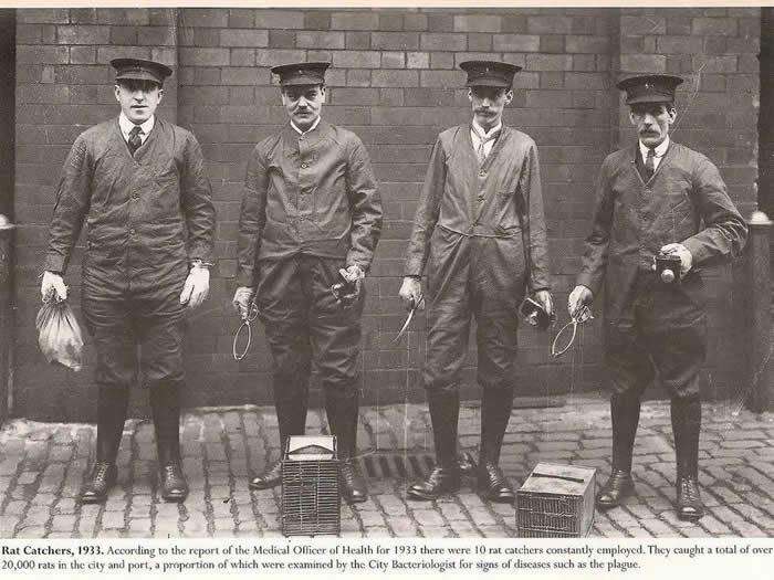 Rat Catchers, Liverpool. 1933