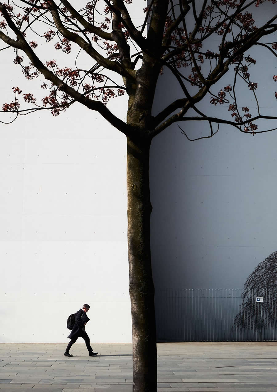 The Art of Perfect Timing: 34 Clever Street Photos by Emiliano Cuadrado That Turn Ordinary Scenes Into Visual Surprises 49 A solitary pedestrian walks beneath a large tree against a minimalist wall divided into light and shadow, creating a geometric street photography composition with striking contrast and negative space.