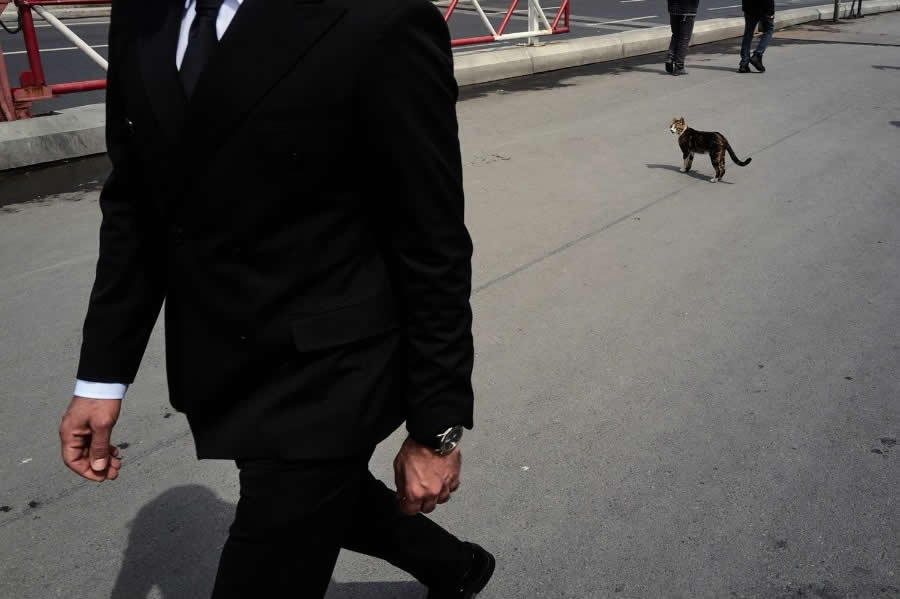 The Art of Perfect Timing: 34 Clever Street Photos by Emiliano Cuadrado That Turn Ordinary Scenes Into Visual Surprises 58 A man in a black suit walks across the foreground while a solitary cat stands farther down the sidewalk, creating a minimalist street photography composition with strong contrast and visual balance.