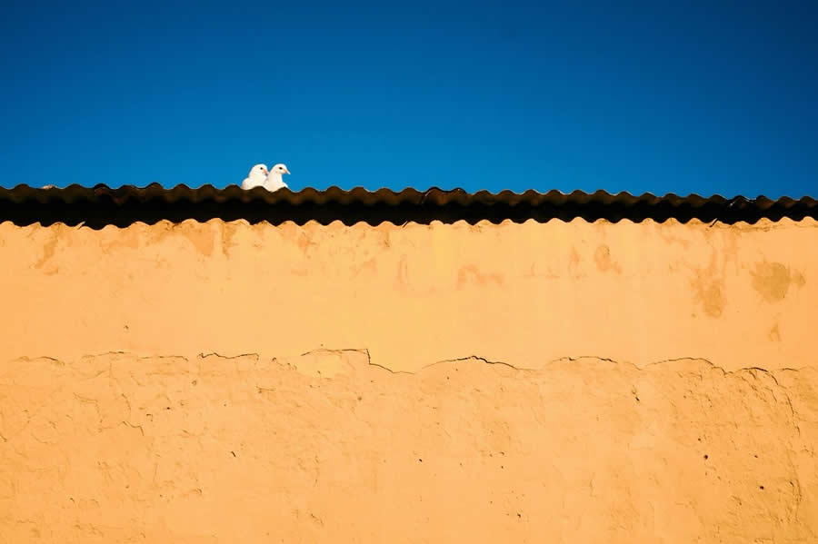 The Art of Perfect Timing: 34 Clever Street Photos by Emiliano Cuadrado That Turn Ordinary Scenes Into Visual Surprises 67 Two white birds perched on a rooftop against a deep blue sky, framed by a warm textured wall and minimalist composition with expansive negative space.